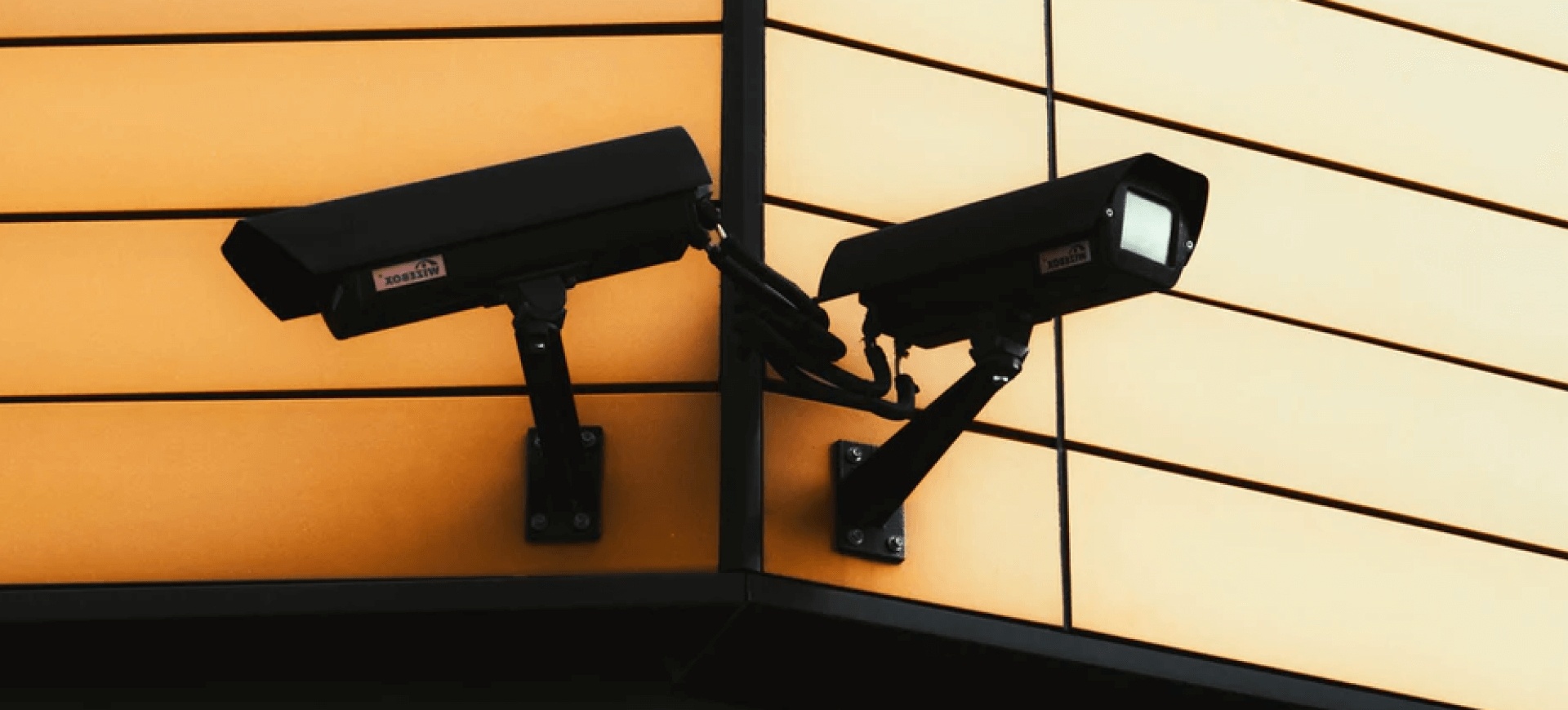 Here is the classic lorem ipsum passage followed by Boparai's odd-牛视大盘点