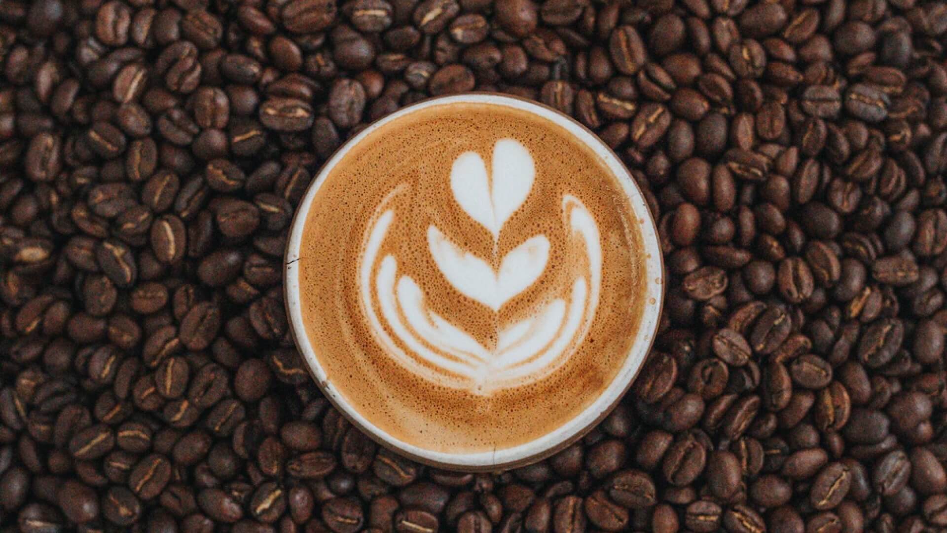 YouTube Dominates Google Video in 2020-牛视大盘点